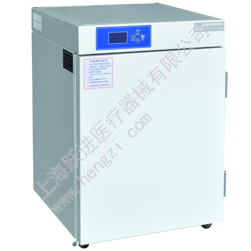 上海躍進(jìn)電熱恒溫培養(yǎng)箱HDPF-88（原型號HH.B11.420-BY）