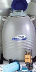 泰萊華頓LS型儲(chǔ)存液氮罐