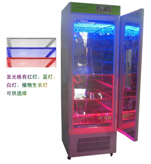 上海龍躍光照培養(yǎng)箱（LED冷光源）LY06-300-Ⅱ