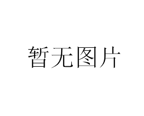 上海衡平電子精密天平JA2603