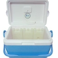 北京福意聯(lián)2-8℃藥品冷藏箱FYL-BW-11L