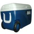 北京福意聯(lián)2-8℃藥品冷藏箱FYL-BW-65L