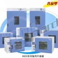 上海一恒鼓風(fēng)干燥箱DHG-9015A