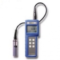 YSI便攜式溶解氧測(cè)定儀DO200CC-04